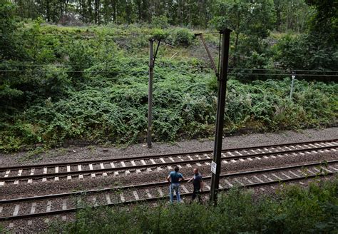 Is Nazi gold train a hoax? Poland's bank chief casts doubt on myth of lost WW2 treasure