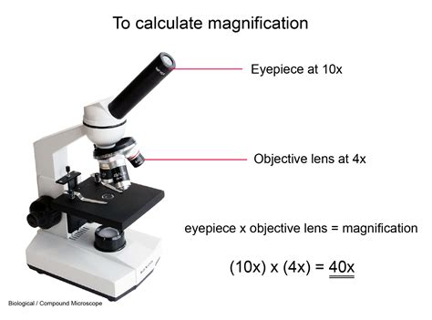 Microscope Buying Guide- How to choose a microscope