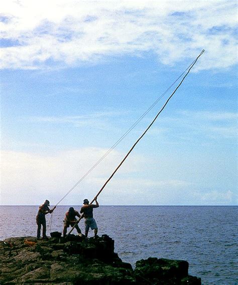 ka la'au and ma'ama'a: traditional hawaiian style ulua fishing. hang bait | go fish | Pinterest ...