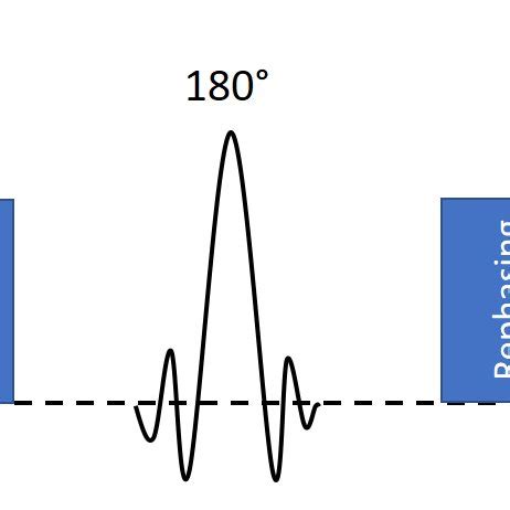 3: A diffusion-weighted MRI sequence. The first gradient causes ...