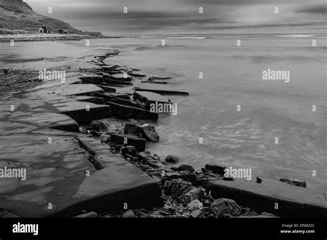 Kimmeridge Bay fossil hunting, Dorset, UK Stock Photo - Alamy