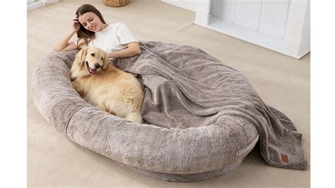 Human-size dog beds are a thing — seriously! — and you can get one on Amazon