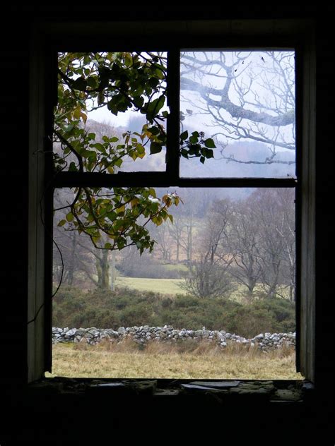 Window View | Beautiful Windows