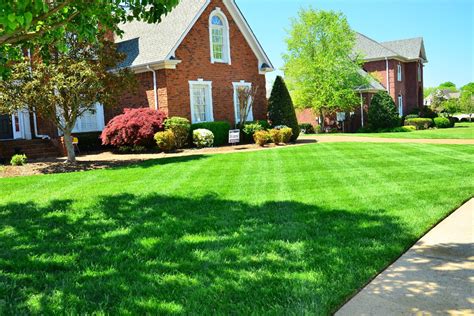 What Kind of Grass is Best for Lawns in the New River Valley of Virginia? - Green Care Turf ...