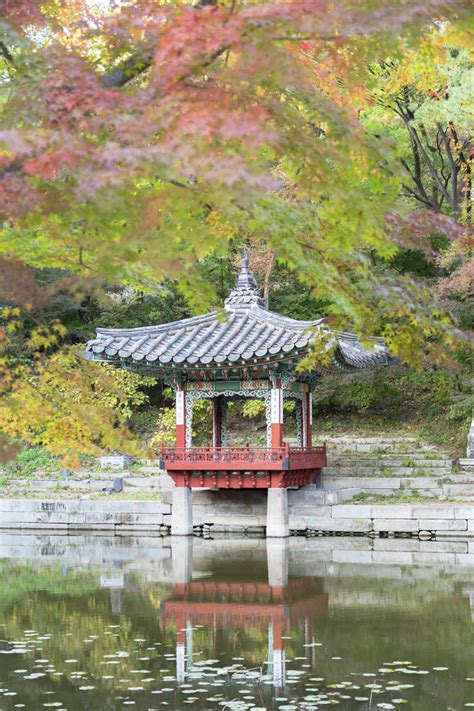 Secret Garden in Changdeokgung Palace, UNESCO World Heritage Site ...