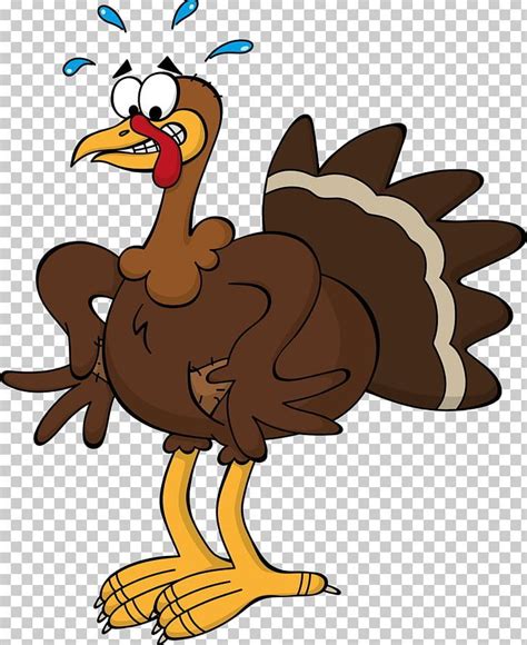 Black Turkey Thanksgiving Cartoon PNG - Free Download | Thanksgiving cartoon, Iphone wallpaper ...