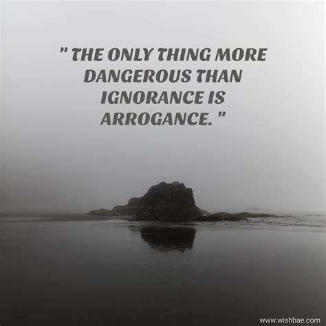 Arrogance Quotes and Sayings about Arrogant People - WishBae.Com