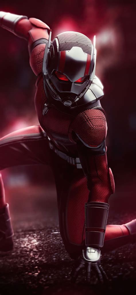 Ant Man 4k 2020 New In 1125x2436 Resolution | Marvel wall art, Marvel photo, Marvel background