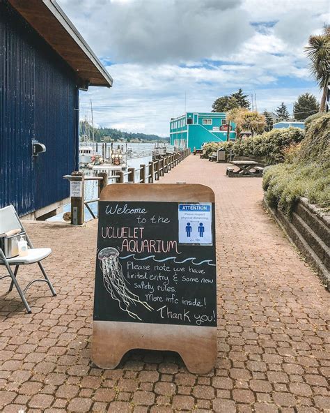 8 Best Things to do in Ucluelet BC in 2023 | Ucluelet, Travel vancouver island, Ucluelet bc