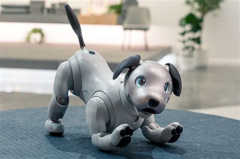 Aibo – The Coolest New Robots and What They Can Do