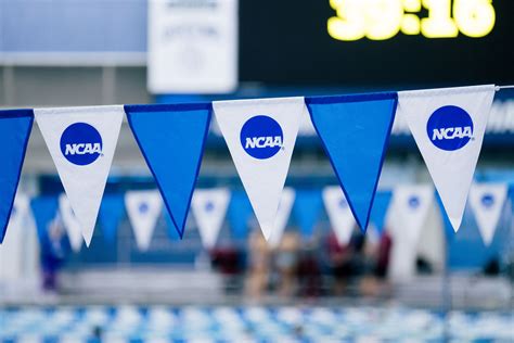 Ncaa Division Iii Swimming Championships 2024 - Image to u