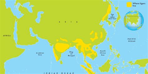 Bengal Tiger Distribution Map - Infoupdate.org