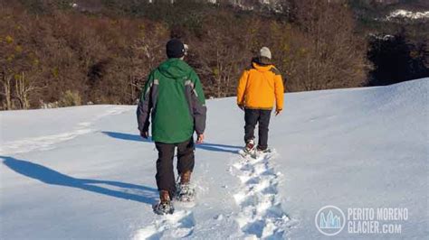 Winter Season in Ushuaia: What to do? | PeritoMorenoGlacier.com