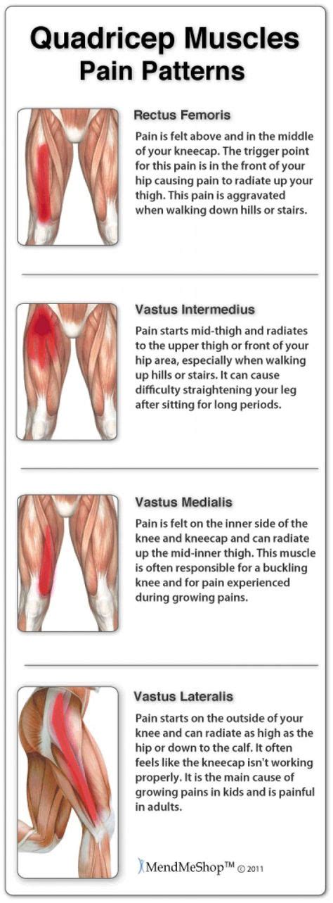 Pin on Psoas Pain