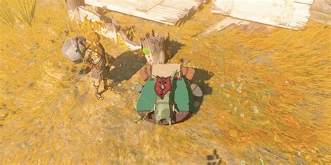 Zelda: Tears of the Kingdom Player Crucifies Korok