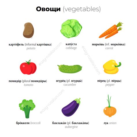 Food Vocabulary in Russian: Basic Words and Phrases