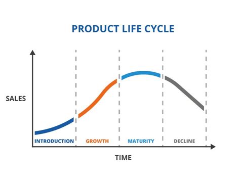 What Is a Product Life Cycle? Definition, Stages, and Importance ...