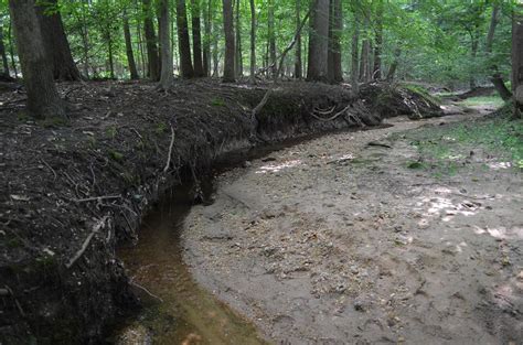 122 A unique looking erosion cliff likely made by recent flooding ...