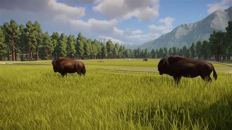 BEARIZONA American Bison herd : r/PlanetZoo