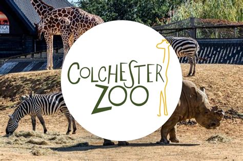 Colchester Zoo partners with Attractions.io to launch a new mobile app ...