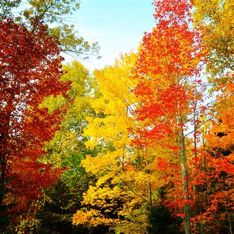 Stunning Places to See Fall Colours in Southern Ontario • Big Time Travels