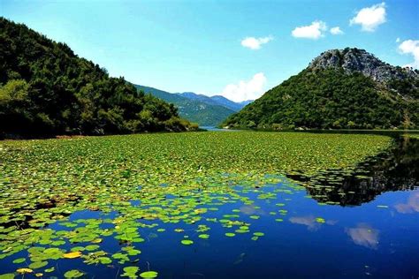 Most Awesome Things To do in Lake Skadar Montenegro