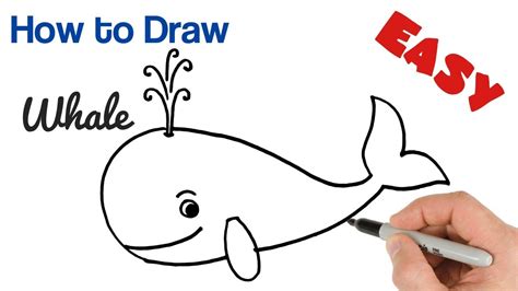 Whale Drawing Easy For Kids