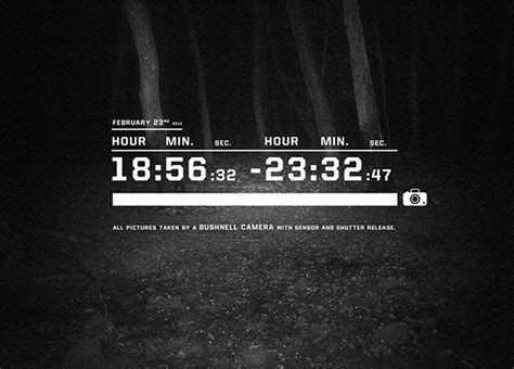 WOODS | at night on Behance