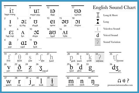 tables - How to create this IPA phonetic chart in LaTeX - TeX - LaTeX ...