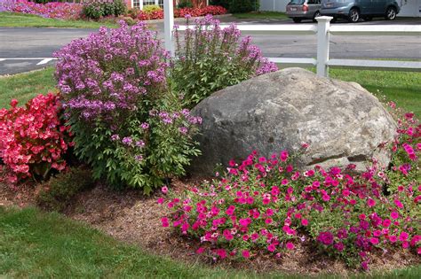 #bellgardens | Rock garden landscaping, Landscaping with rocks ...