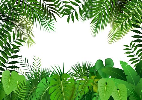 Jungle Vector Art, Icons, and Graphics for Free Download