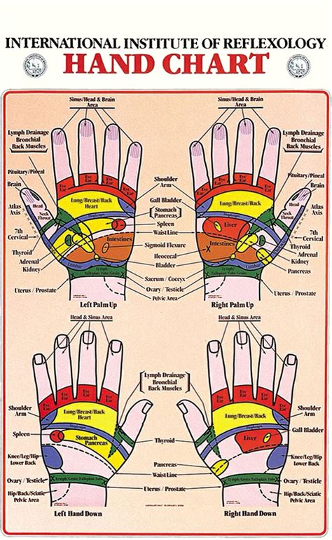 International Institute of Reflexology Hand Chart