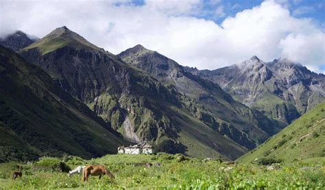 Jomolhari-Mountain-Festival-FB-920x540 | Bhutan Acorn Tours and Travel