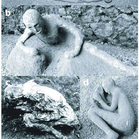 (PDF) Lethal Thermal Impact at Periphery of Pyroclastic Surges ...