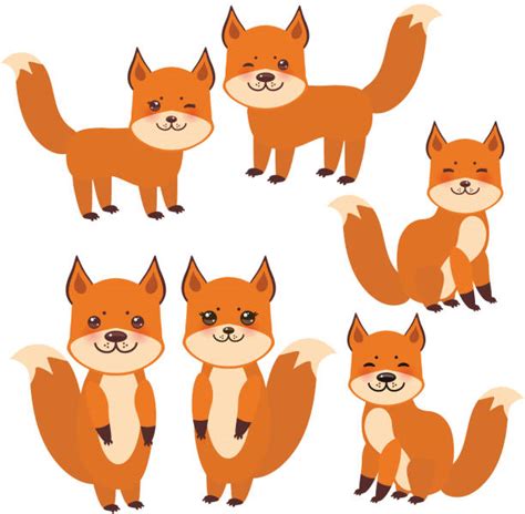 Royalty Free Fox Tail Clip Art, Vector Images & Illustrations - iStock