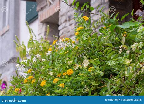 Old house at Grado, Italy stock image. Image of evidences - 180012127