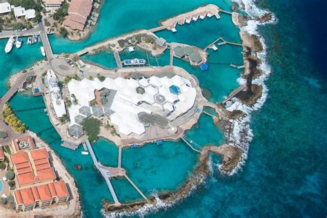 Skip the Line: Curaçao Sea Aquarium - General Admission Ticket 2024 - Willemstad - Viator