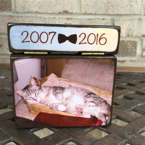 Pet Urn for Cat Cat Urn With Picture Cat Urn for Ashes Cat | Etsy