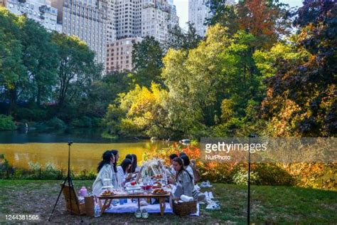 439 Central Park Picnic Stock Photos, High-Res Pictures, and Images ...