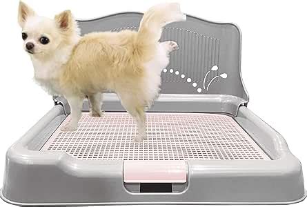 Amazon.com : [DogCharge] Indoor Training Dog Potty Tray – Protection Wall Cover for Male Dogs ...