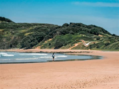 Sandy Beach | NSW Government