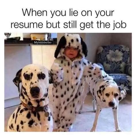 When You Lie on Your Resume Meme (Hilarious Memes Only)