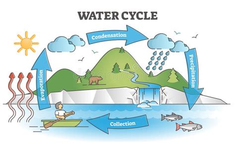 Water Cycle Diagram with Simple Rain Circulation Explanation Outline ...