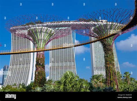 Gardens by the bay and Marina Bay Sands hotel, Singapore Stock Photo ...