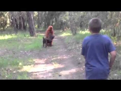 Bigfoot prank? - YouTube