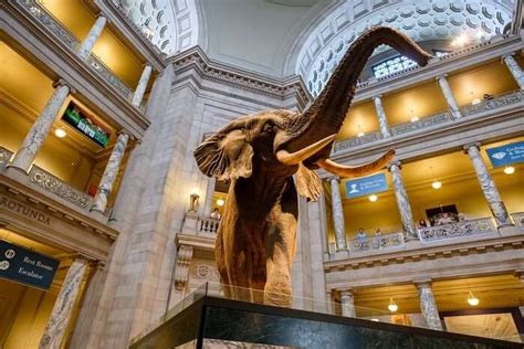 10 Museums In Washington DC: A Guide For History Lovers