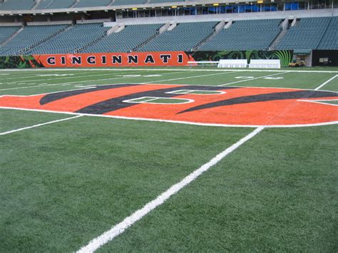 CINCINNATI BENGALS STADIUM | Turfgrass