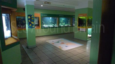 Pictures of Bolton Museum, Aquarium and Archive, Bolton, Greater ...