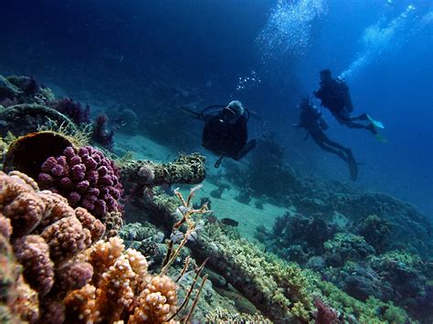 Red Sea Dive SItes - ELITE DIVING