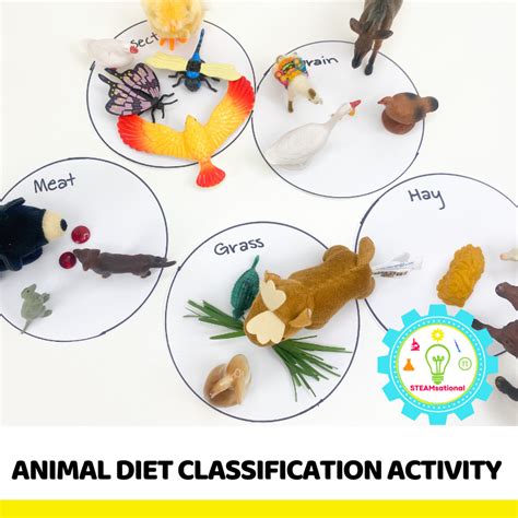 Animal Diet Classification STEM Challenge for Preschoolers